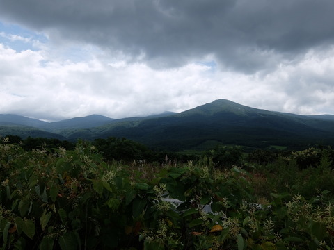 DSCF4440
