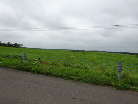 DSC00639