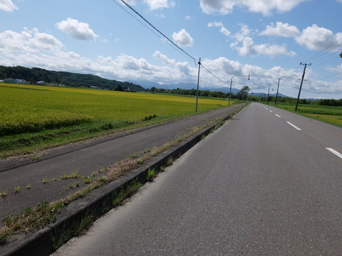 DSCF7518
