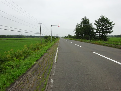 DSC00577