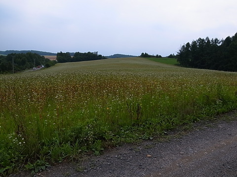 R0012127