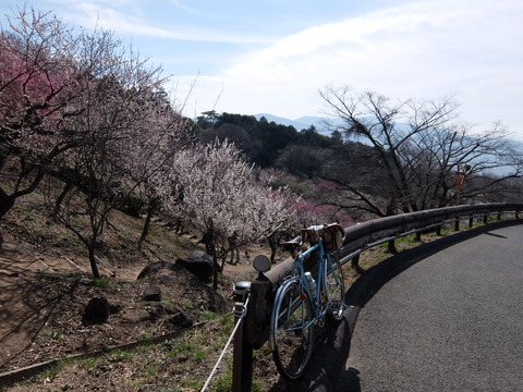 DSCF5985