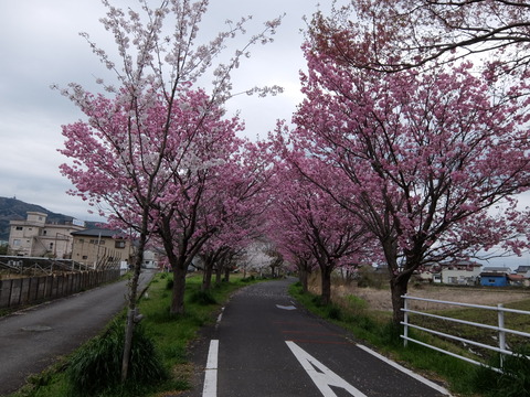 DSCF6147