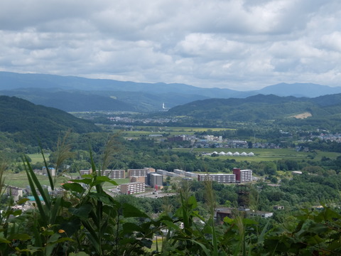 DSCF7499