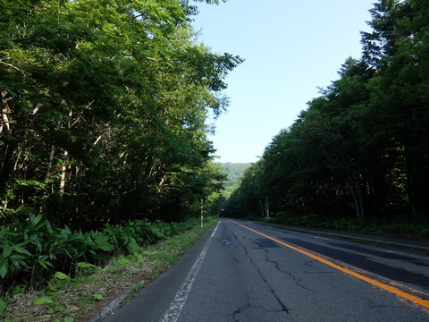 DSCF2500