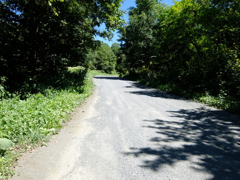 DSCF3193