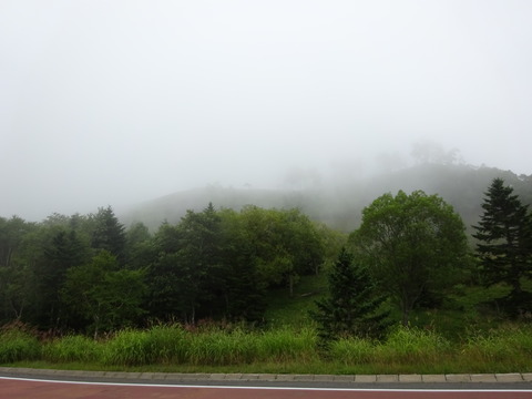 DSC00500