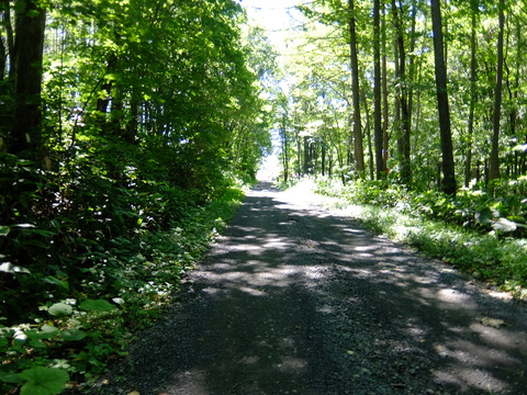 DSCF3166
