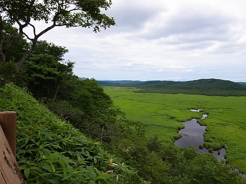 R0011488