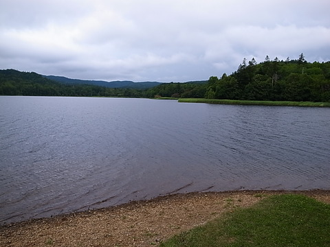 R0011955