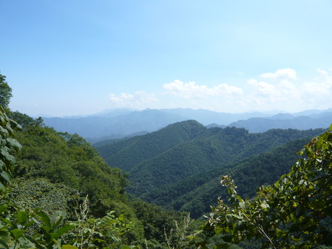 P1010859