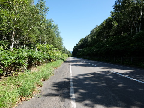 DSCF7207