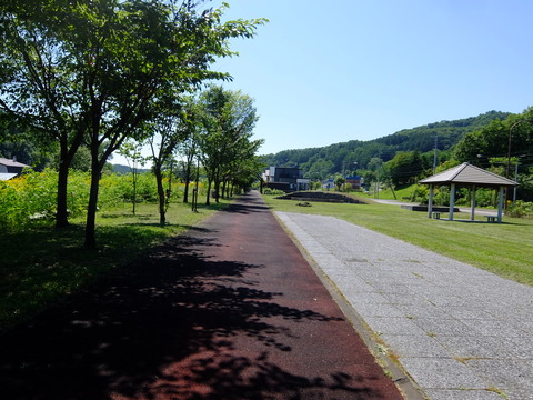 DSCF3352
