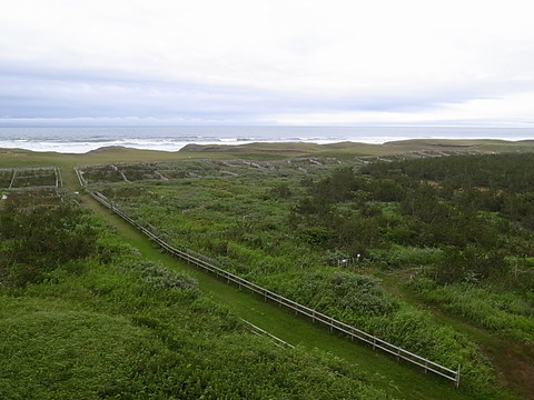 R0011253