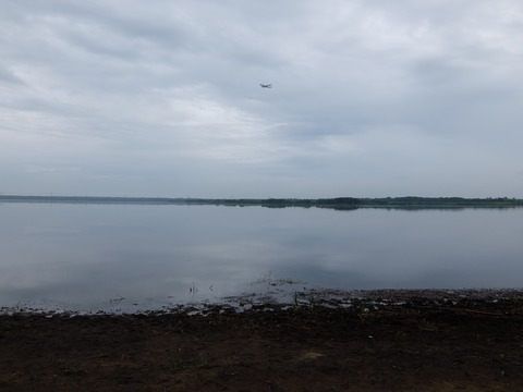 DSCF3768