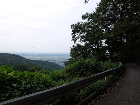 DSCF6242