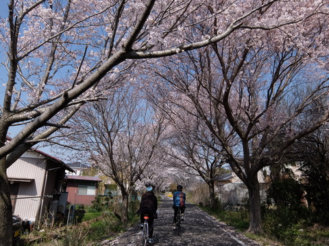 DSCF6047
