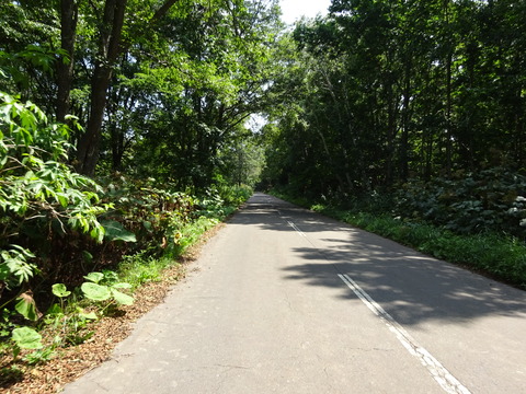 DSC00299