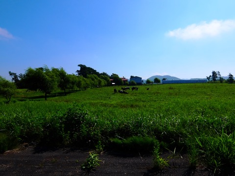 DSCF3414