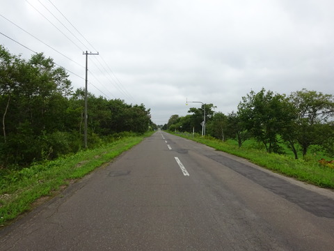 DSC00672
