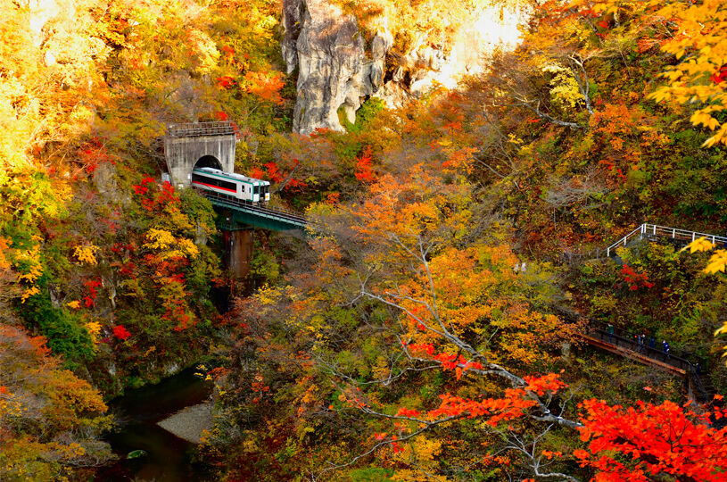 【紅葉】　列車もOOOO！！秋色の渓谷WWWW！！！！