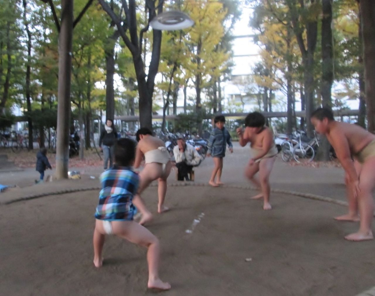 イメージ 1