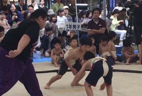 イメージ 5