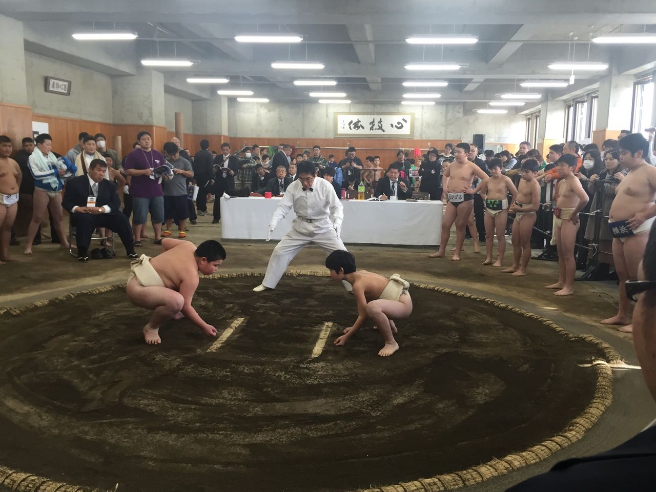 イメージ 7
