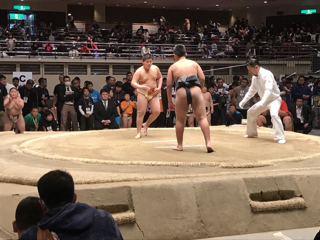 イメージ 8