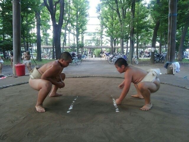 イメージ 7