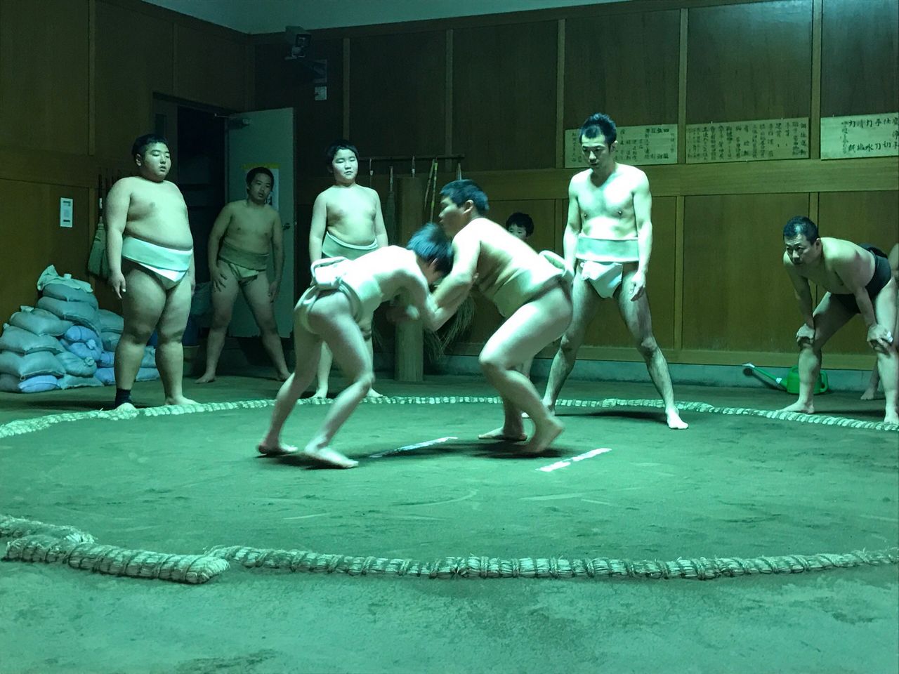 イメージ 5