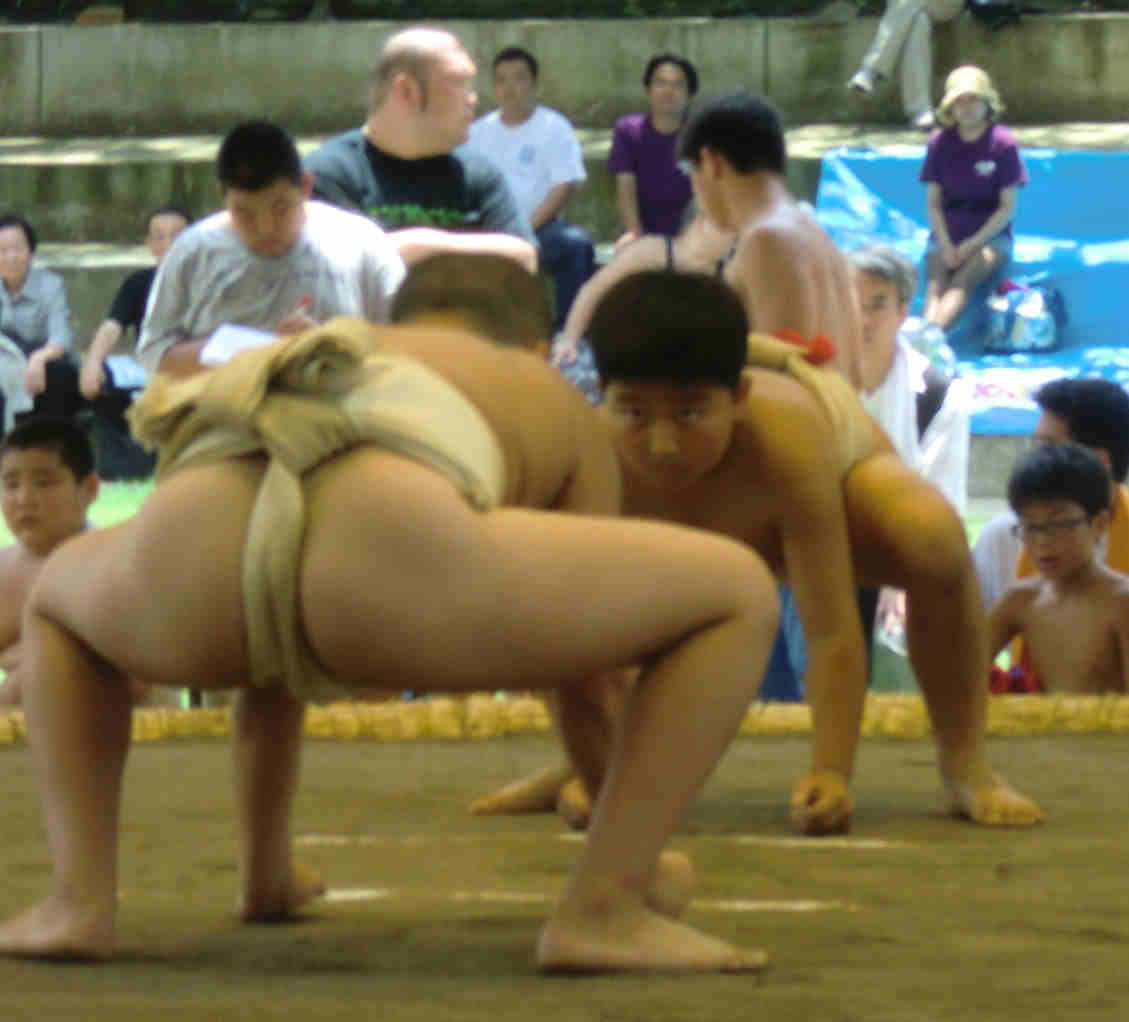 イメージ 6