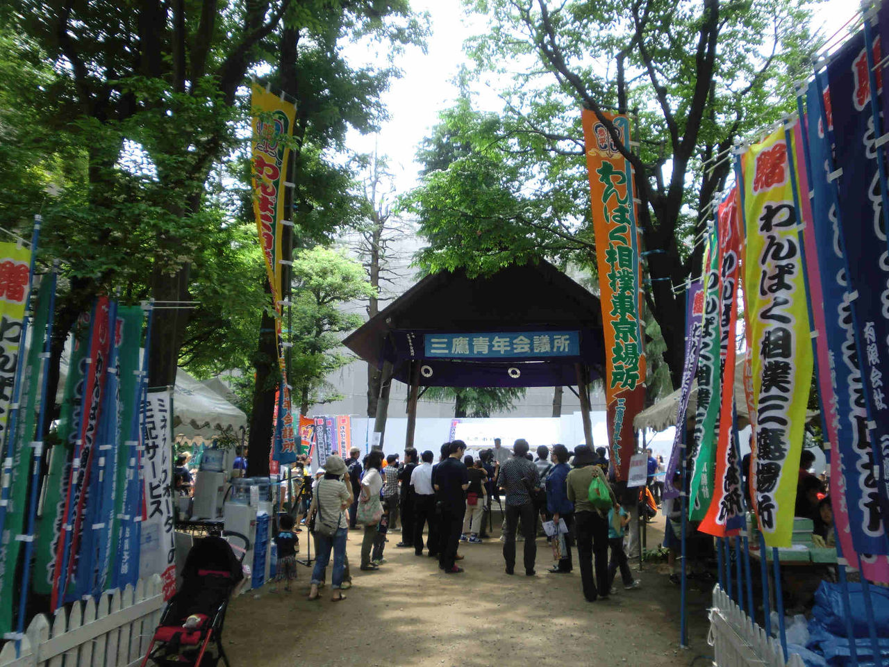 イメージ 10