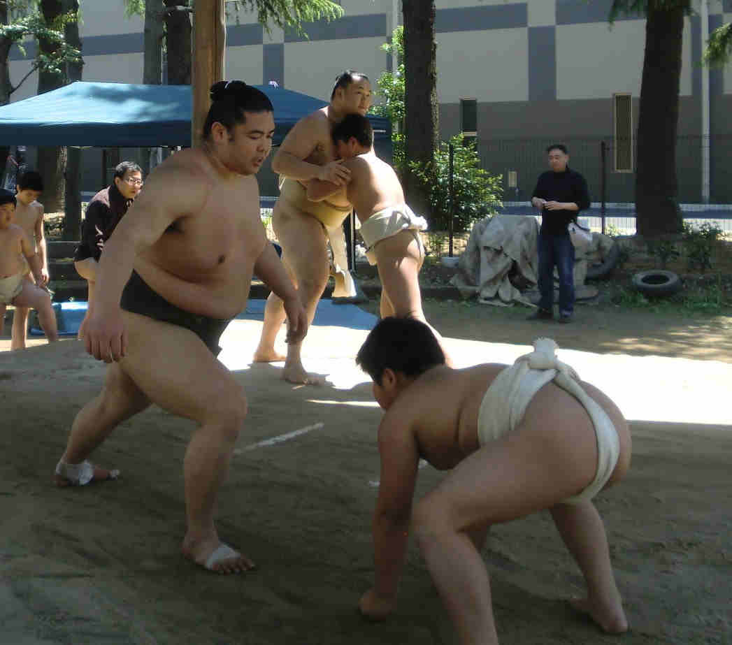 イメージ 11
