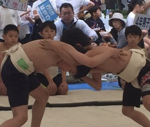 イメージ 8