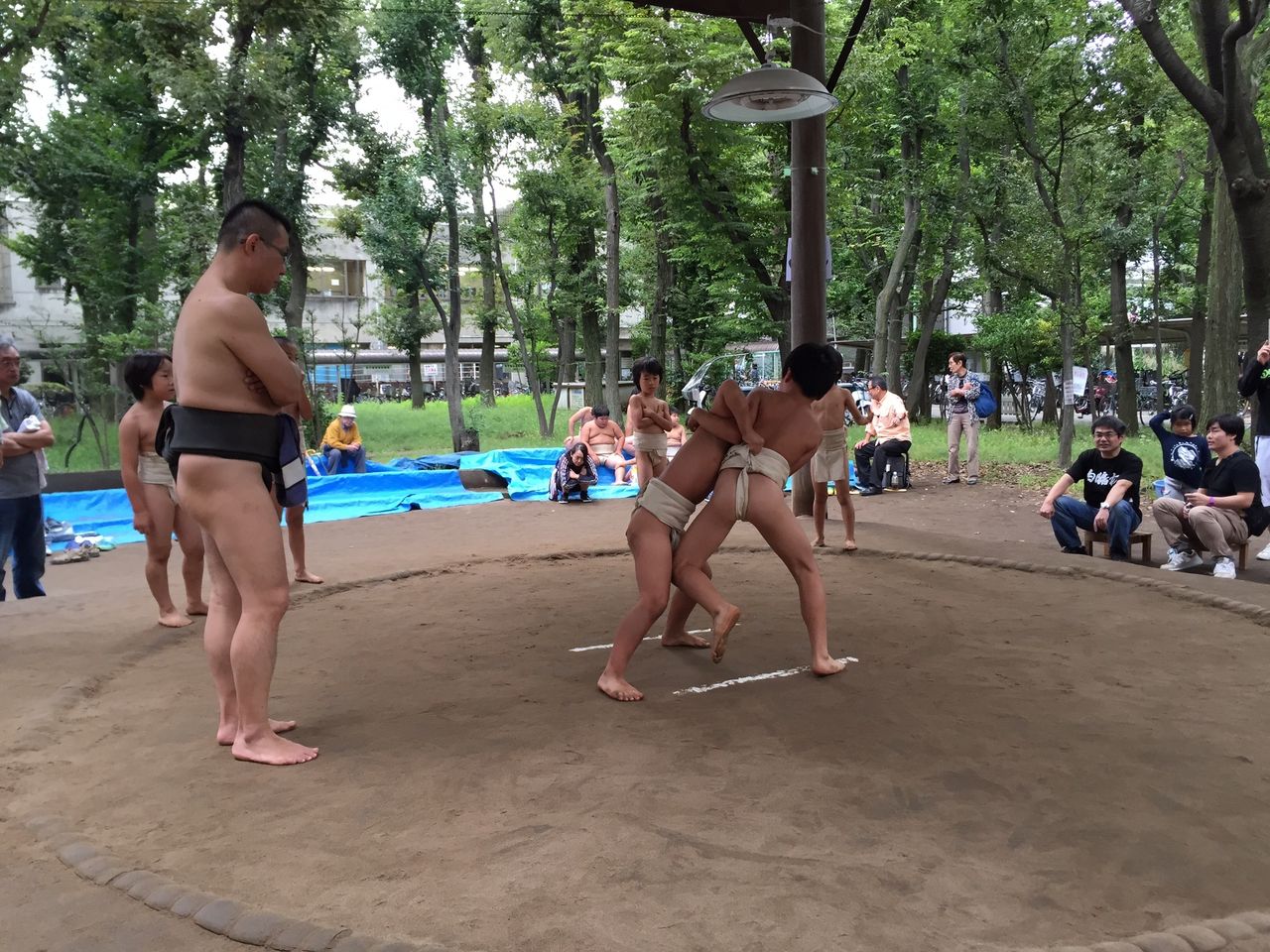 イメージ 5