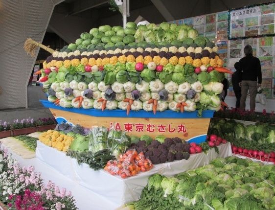 イメージ 6