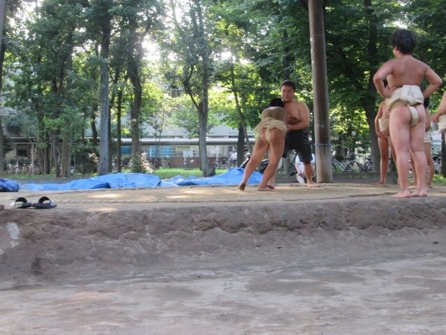 イメージ 6