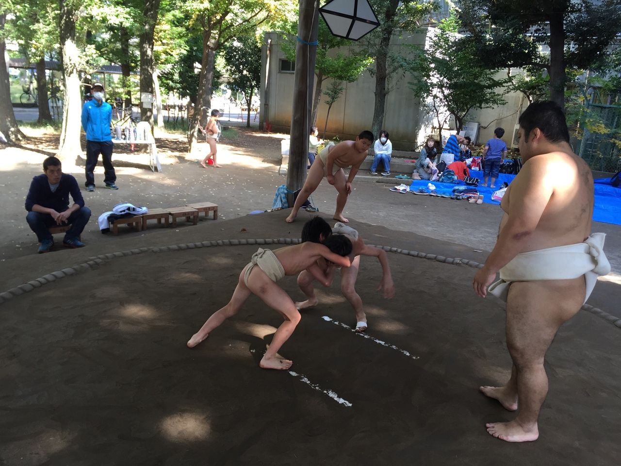 イメージ 7