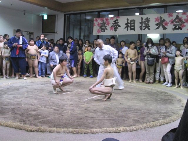 イメージ 7