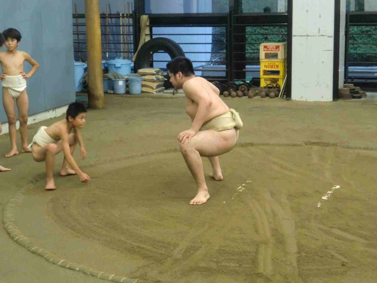 イメージ 5
