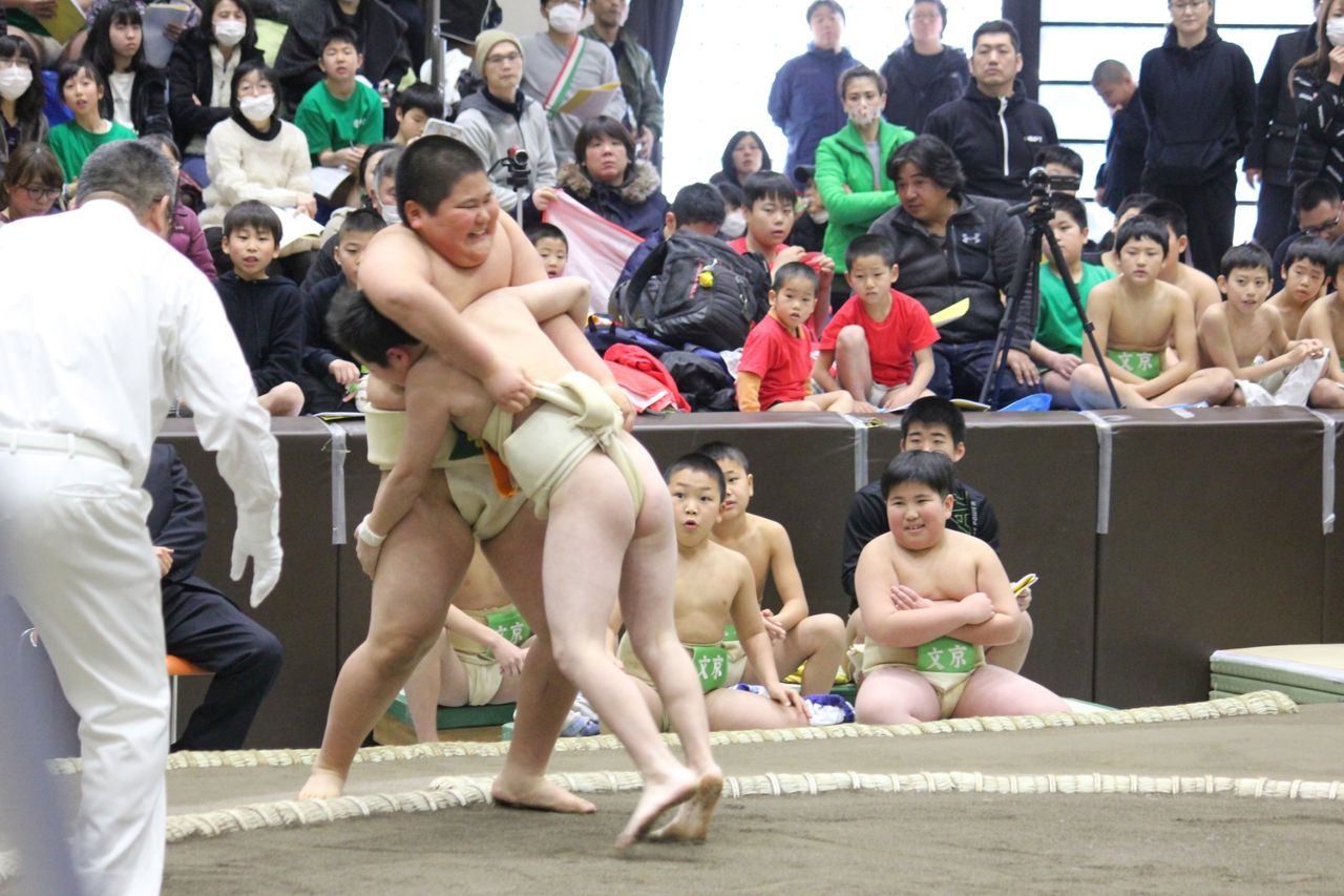 イメージ 14