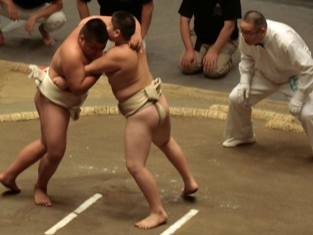イメージ 5