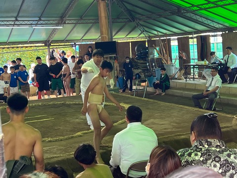 1777967296779(1)