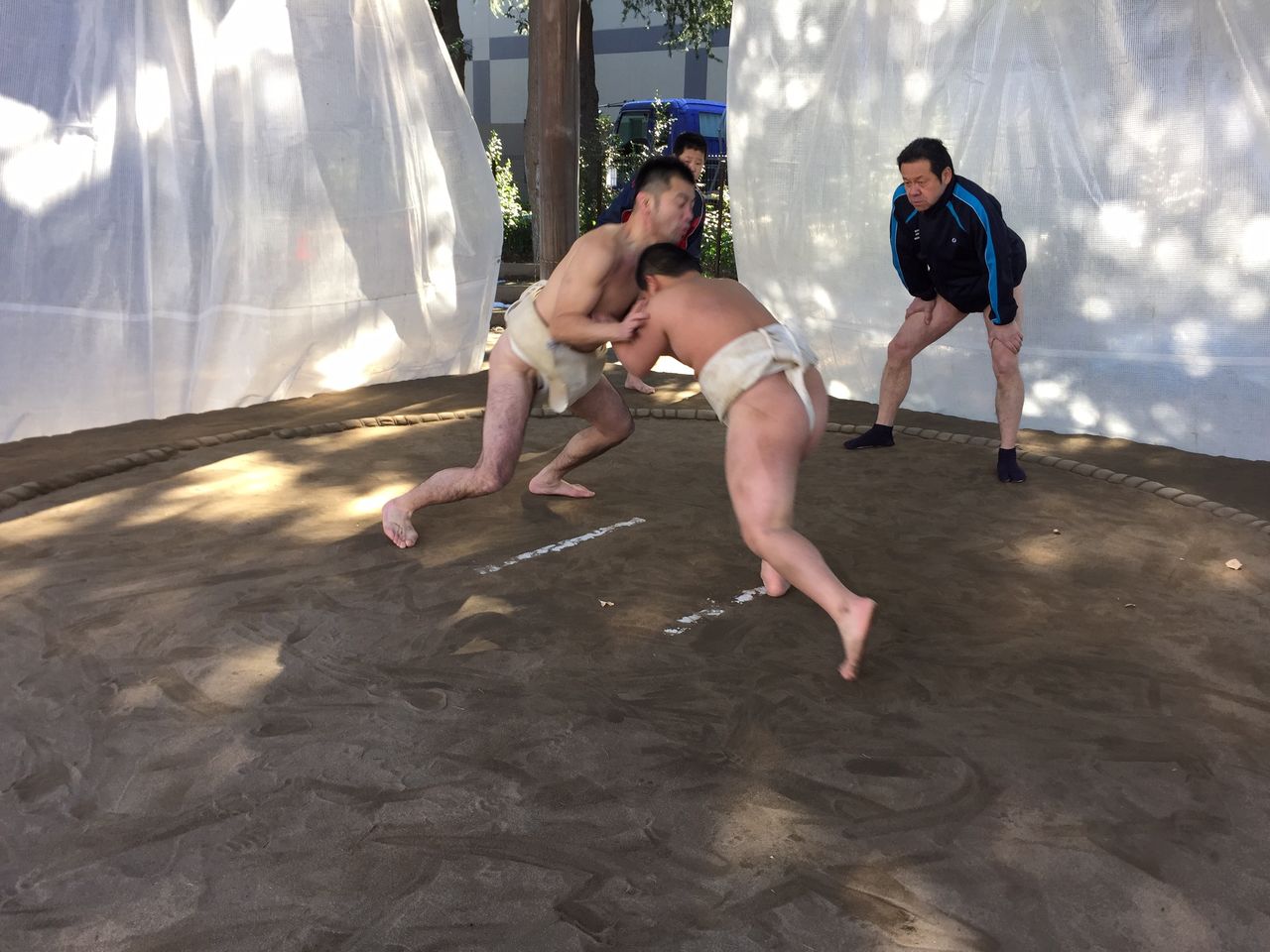 イメージ 7