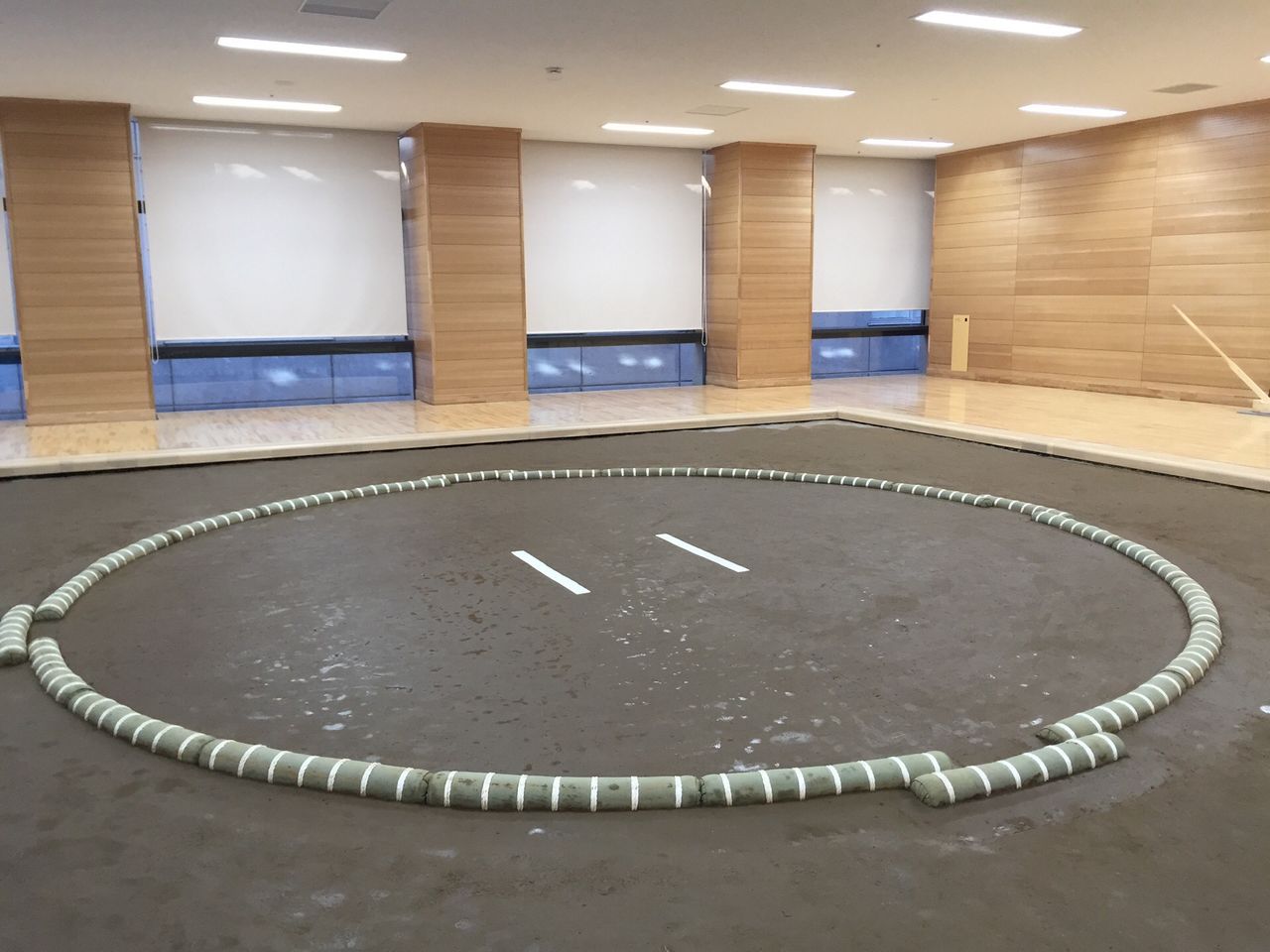イメージ 7