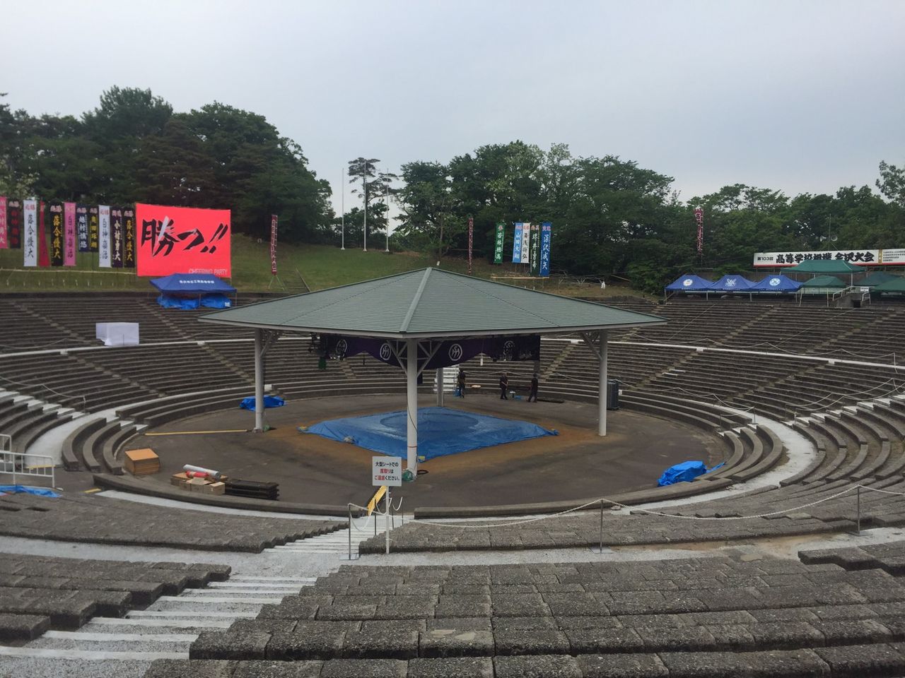 イメージ 7