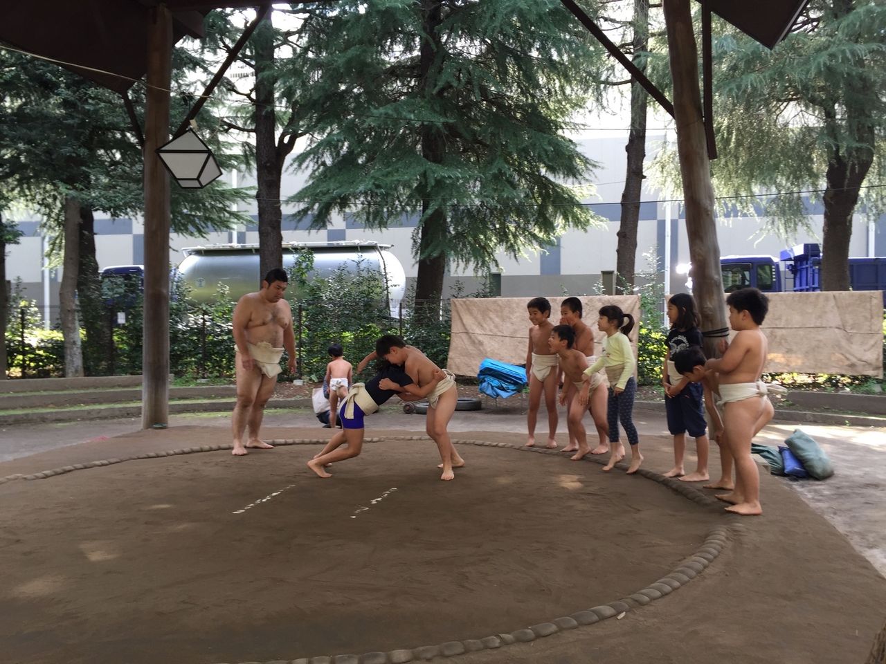 イメージ 5
