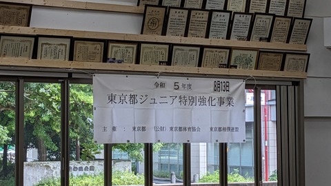 PXL_20230812_235306601