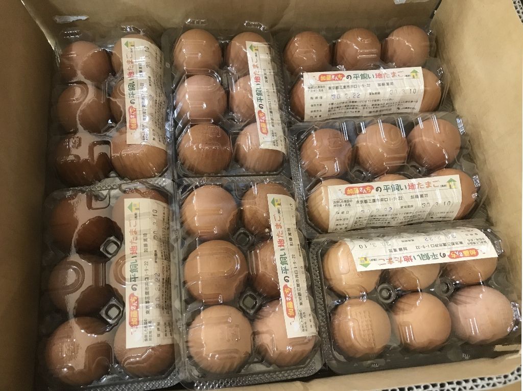 イメージ 8